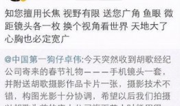 卓伟最新爆料胡歌,卓伟独家爆料，神秘女友身份引热议