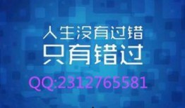 金凤凰论坛爆料最新消息,最新热点事件深度解析