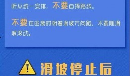 珠海每日爆料新闻最新消息,突发事件引发全城关注
