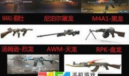 最新武器爆料图片,最新武器爆料图片解析