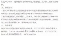 平安欠款爆料案例最新,揭秘金融巨头背后的债务危机